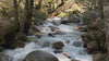 Video of a rushing river in the woods. 